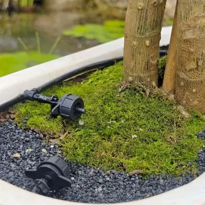 Solar Powered Drip Irrigation System