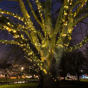 Fairy Lights