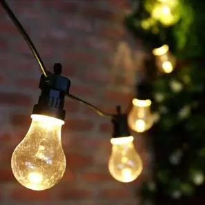 Festoon Lights