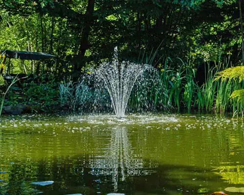 PowerBee Solar Pond Pumps with MPPT Technology - Industry Leading Solutions