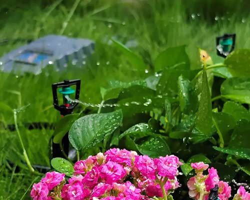 Solar Powered Irrigation Systems