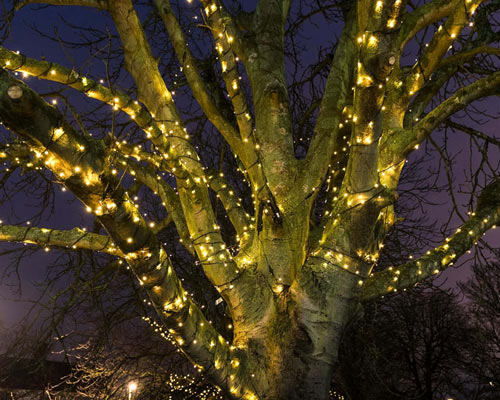 Connect Pro Outdoor Lights